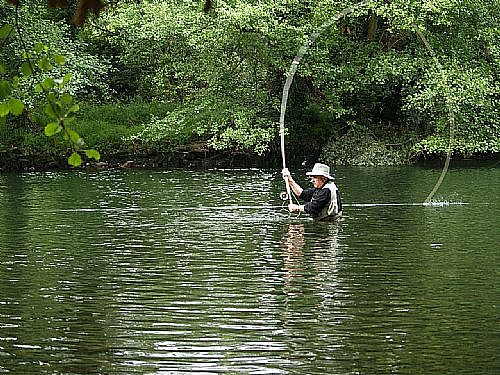 pescando en el rio narcea